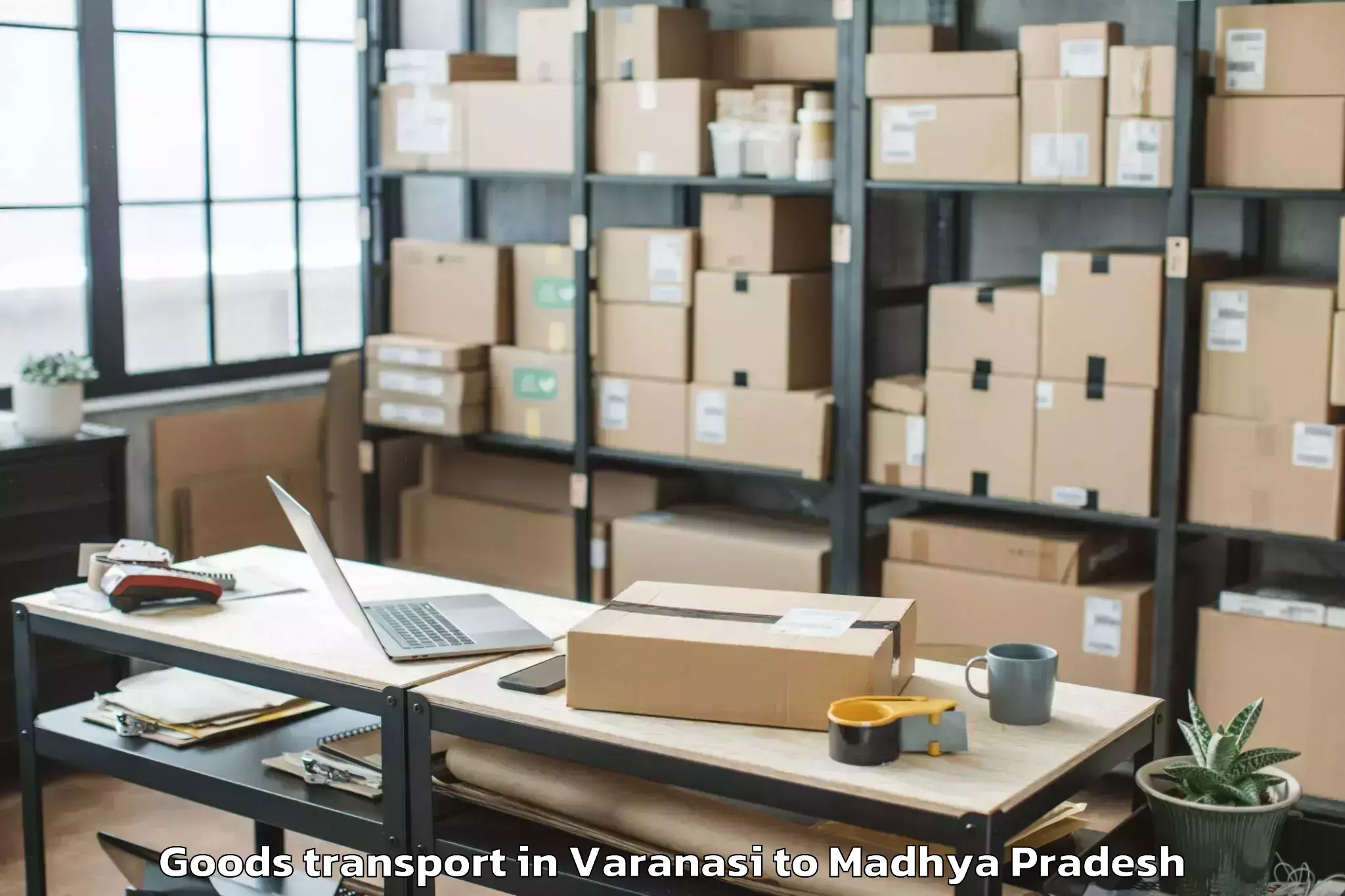 Professional Varanasi to Majhauli Goods Transport